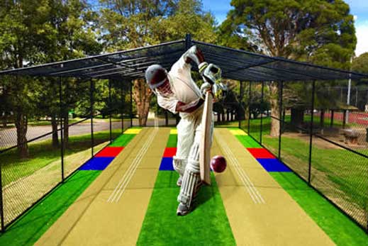 cricket-trainer2