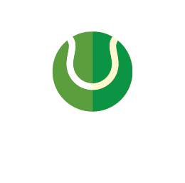 ff-icon-tennis